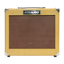 Strauss Legacy 'Vintage' 35 Watt Solid State Bass Amplifier Comb